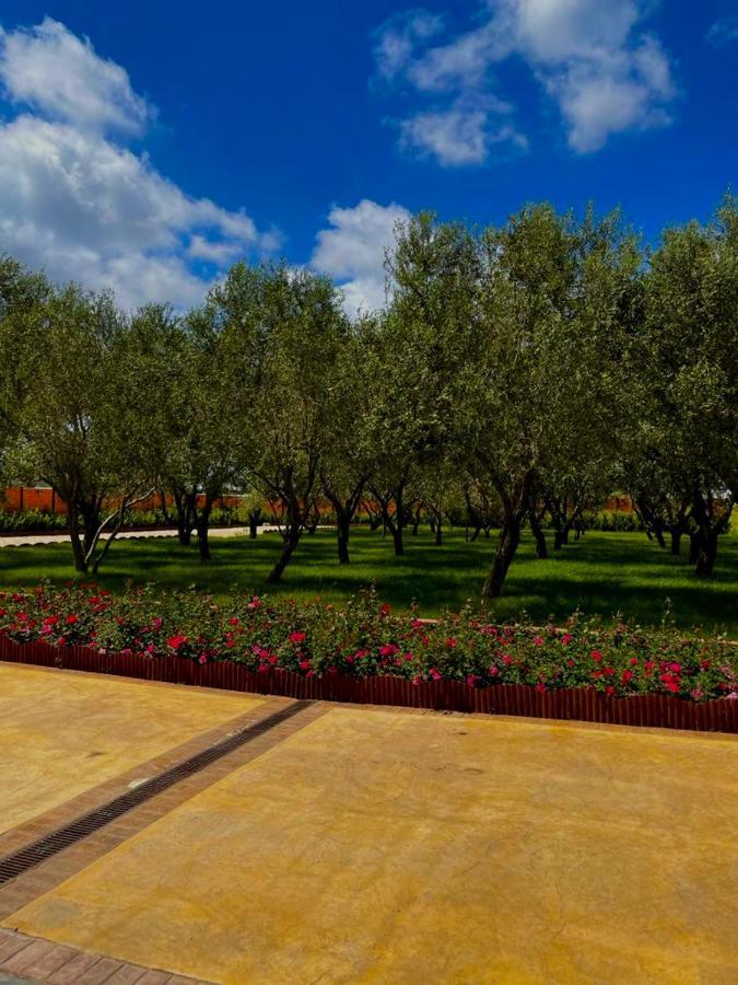 Farm stay La Caffettiera