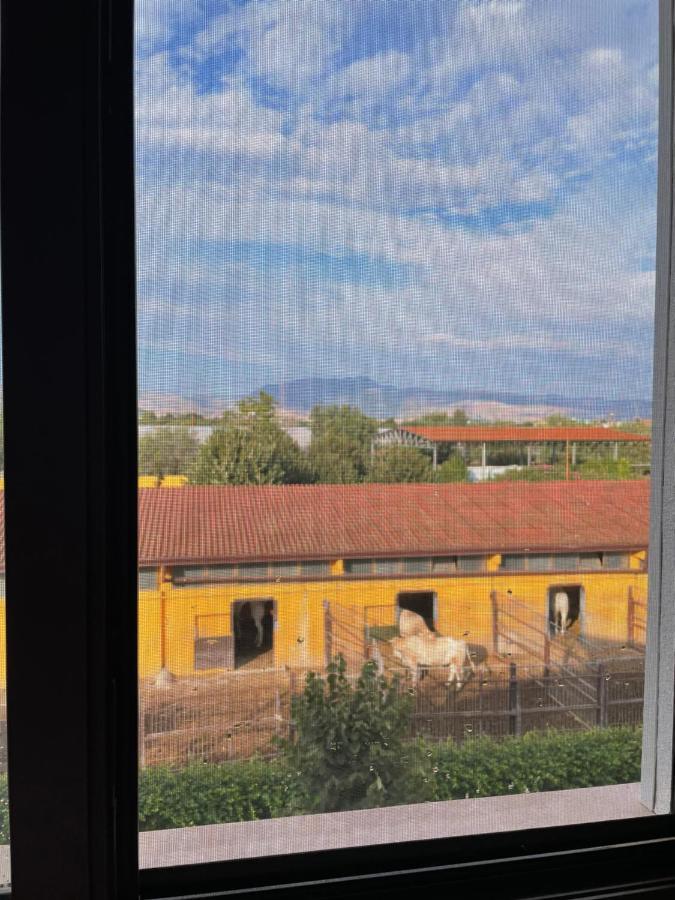 La Caffettiera Farm stay